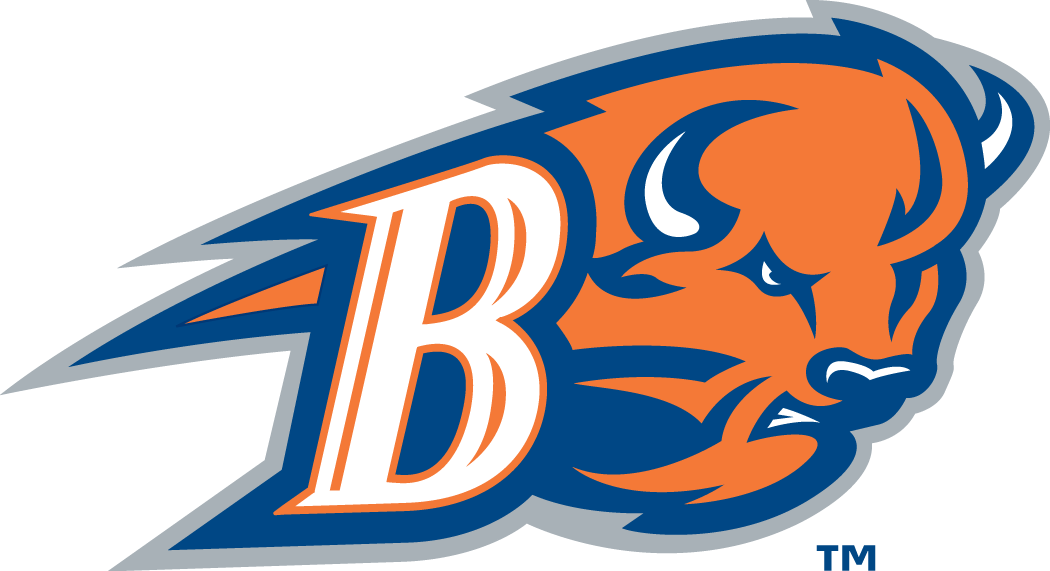 Bucknell Bison 2002-Pres Alternate Logo v2 diy iron on heat transfer